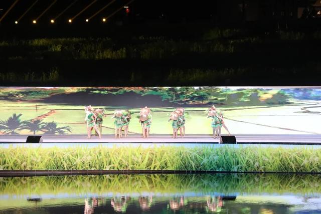 多图+视频！一起回看2025年白沙“啦奥门”雨林与您山兰文化活动精彩瞬间