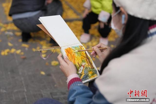 长沙昔日静巷成网红打卡地 金黄银杏扮靓冬日