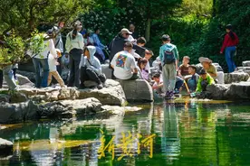“五一”首日，山东200家旅游景区共接待游客395.5万人次、实现营收2.5亿元图片