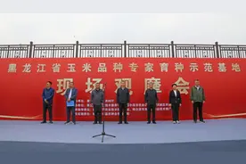 全省玉米品种专家育种示范基地现场观摩活动在哈尔滨市双城区举办图片