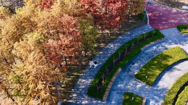 冬韵染南海 一帧一景皆画境