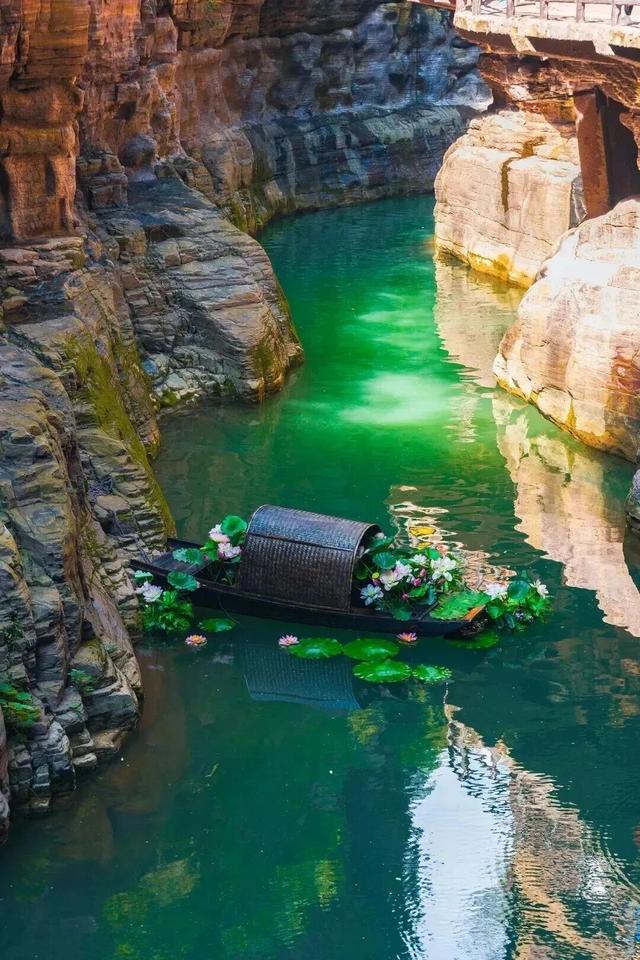 老家河南邀你赴一场春日盛宴！