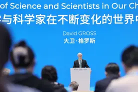 诺贝尔奖得主格罗斯为中国点赞：我在北京、上海看到很多“绿牌”车图片