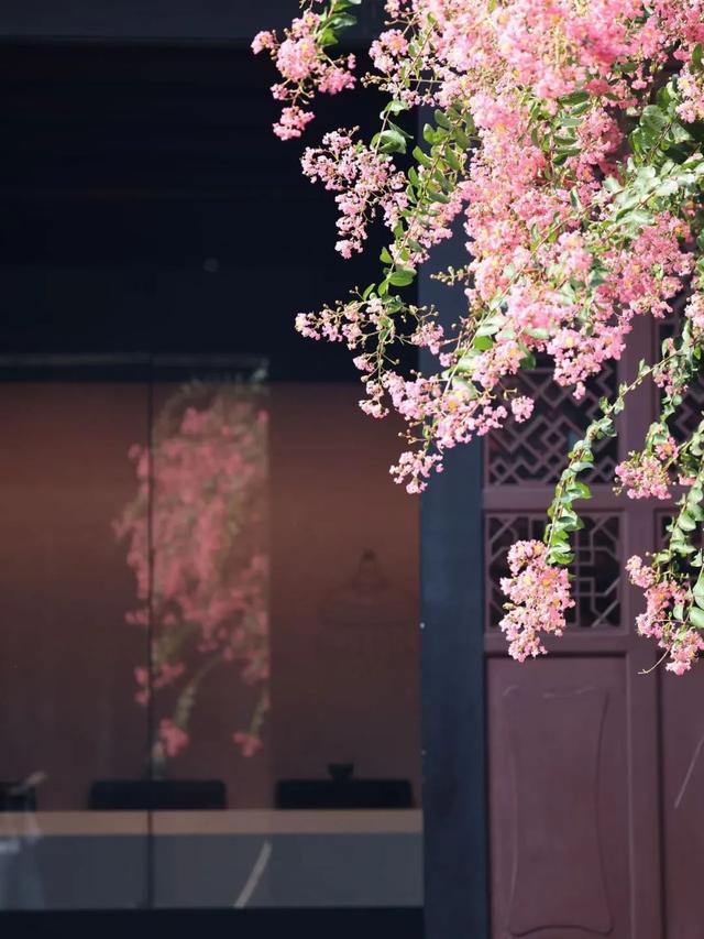 大邑这里紫薇花绽放，错过等一年