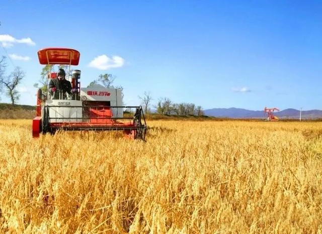 不来珲春，怎知秋色如许？（惊艳美图来袭）