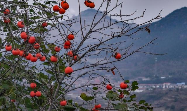 莱芜人·秋·景：诗韵与山水共醉