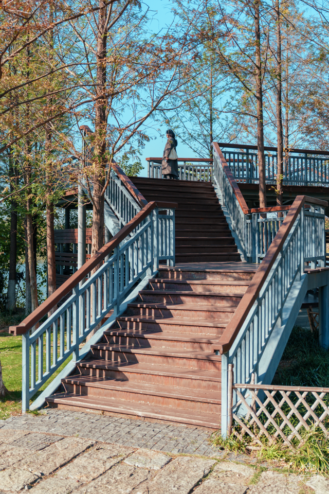 人少景美不绕路，东湖秋日彩蛋上新
