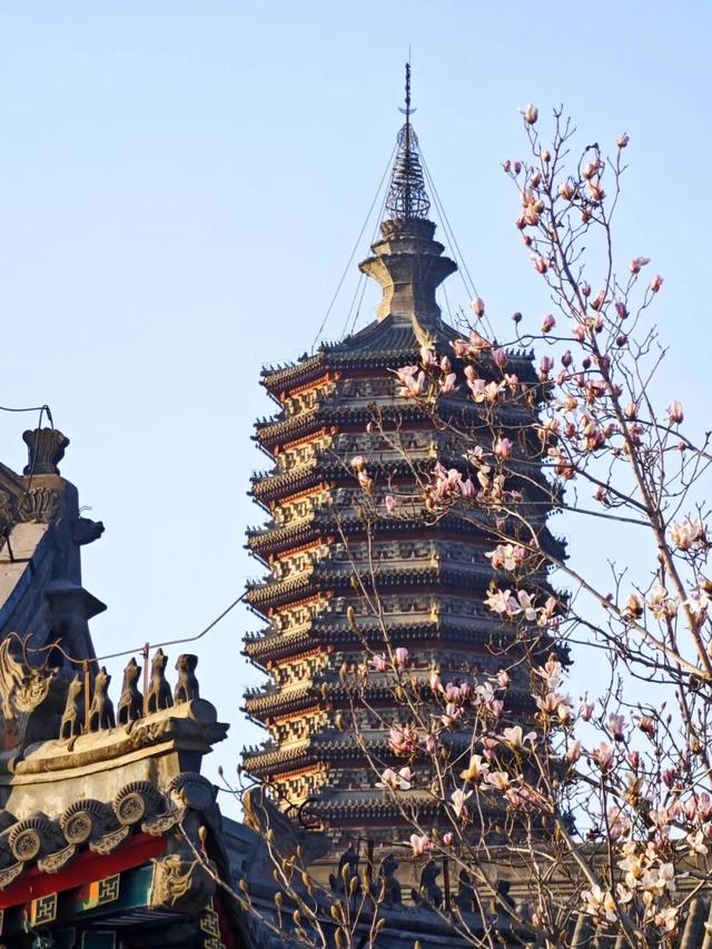 走起，去北京通州赏春花，邂逅最美春色