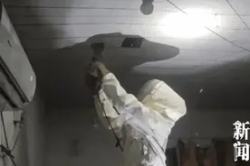 男子崩溃！窗外突然出现黑影密密麻麻 已进入高发季千万别去碰图片