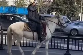 上海市中心有人骑马大摇大摆！被拦了？警方通报图片