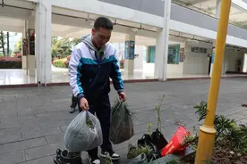 师生齐心植绿树 校园共筑绿意墙 四川泸州叙永职高开展全校义务植树活动图片