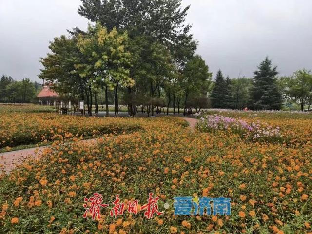 秋色不等人 速来解锁公园景区的N种玩法！