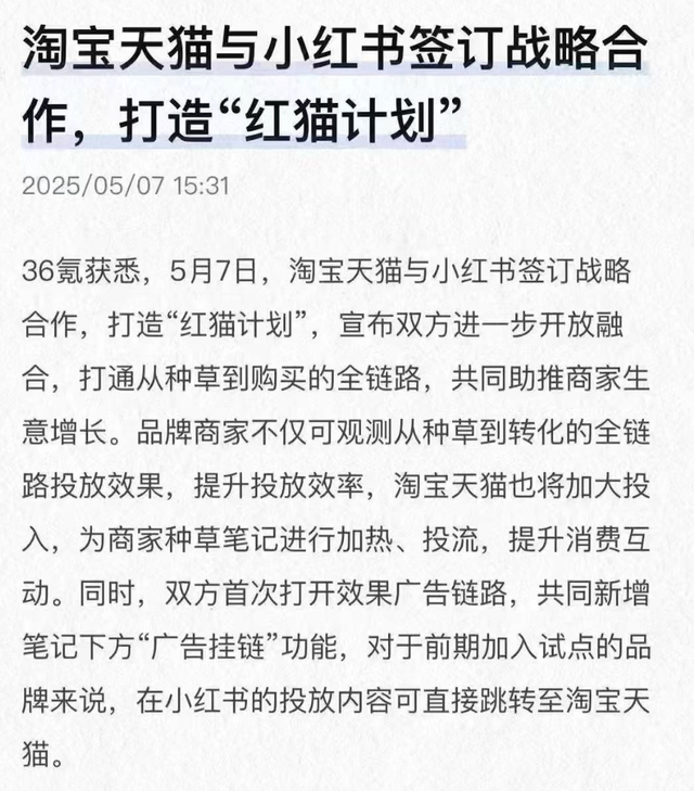小红书的红猫计划到底是啥？