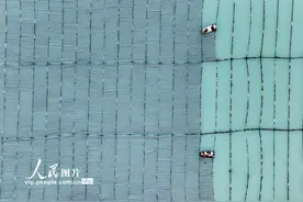 福建莆田：春日牧海耕作忙图片