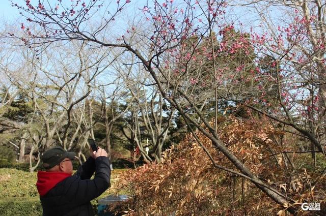 开了！开了！就在中山公园，不少人为她赶来，预计马上爆满……