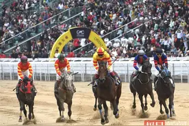 两天赛马大狂欢，骏马良驹在武汉上演速度与激情图片