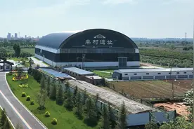 探访辛村遗址 溯源商周文明图片