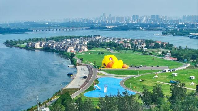 巨型小黄鸭亮相石家庄！位置就在→