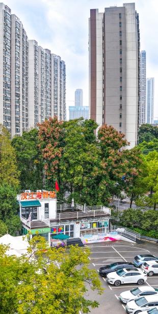 汉江湾体育公园：栾树披上秋装