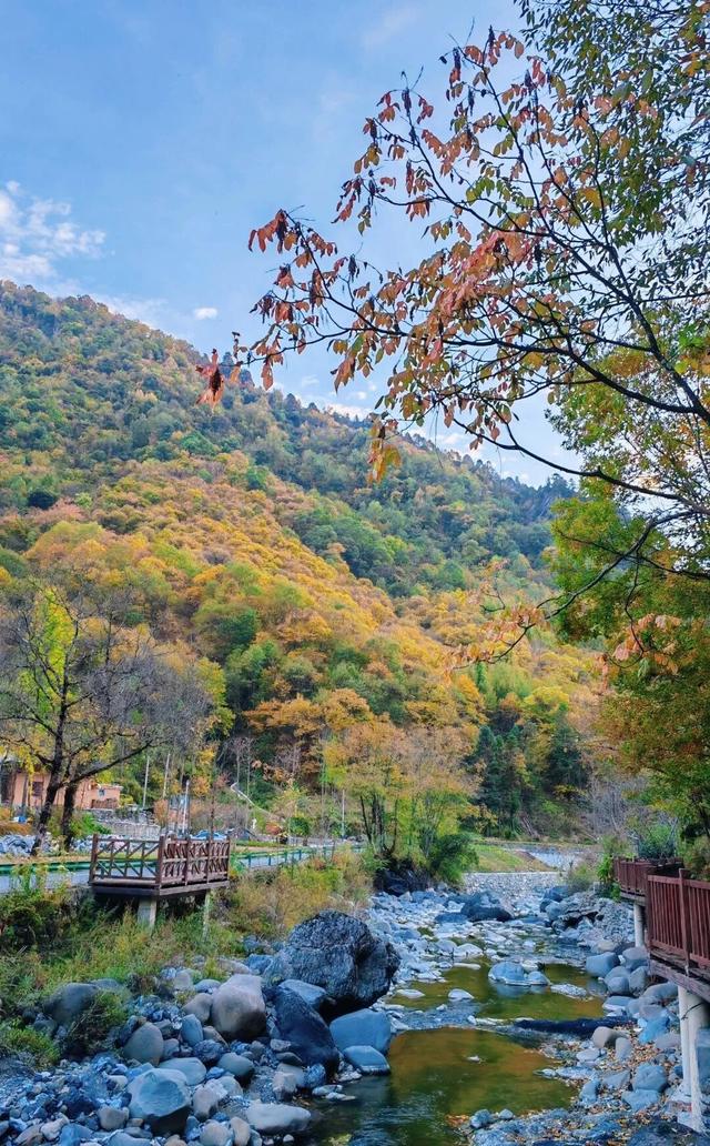 重庆秋色“天花板”火了！最快1小时飚拢！