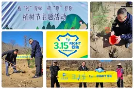 中英人寿山东分公司“3·15”金融宣传周系列活动——走进“武庄村”参加植树节活动图片