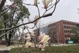 惠质若兰  节日“她”照 ​  ——湖南劳动人事职业学院“三八“国际妇女节活动掠影图片