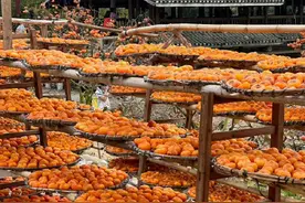 快来尝冬天里的第一口甜蜜图片