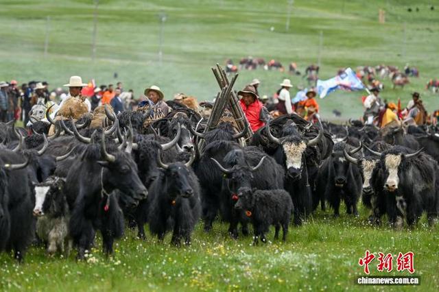 G318户外生活狂欢季引爆川西高原