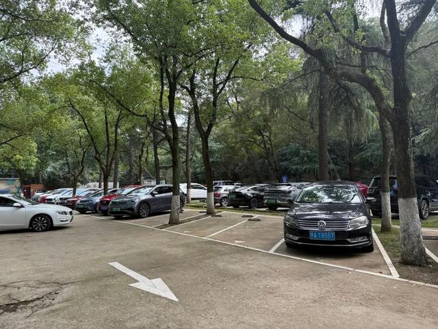 前方记者来报！这是今天的钟山风景区
