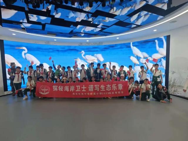 东寨港红树林研学进行时，自然课堂里的欢乐时光～