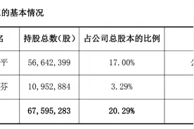 多家公司发布公告，股东计划减持股份图片