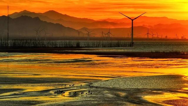 万鸟齐舞！北京这里成“候鸟天堂”，还有专属礼遇——