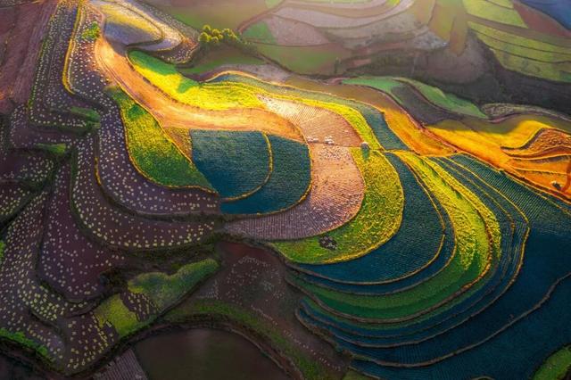 打个“飞的”省内游，有多香？