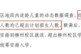 上海多所学校发布2025年学位预警！部分已预告2026年入学条件图片
