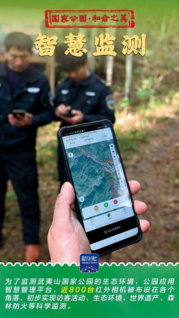 和合之美丨武夷山国家公园：“会呼吸”的诗意乐园