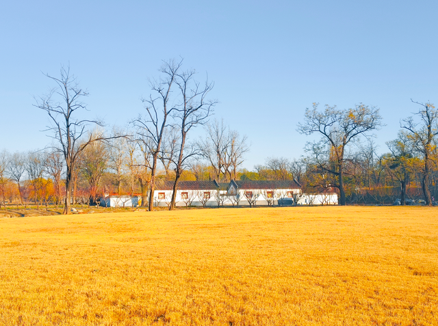 动静皆是景！踏进圆明园的冬日画卷