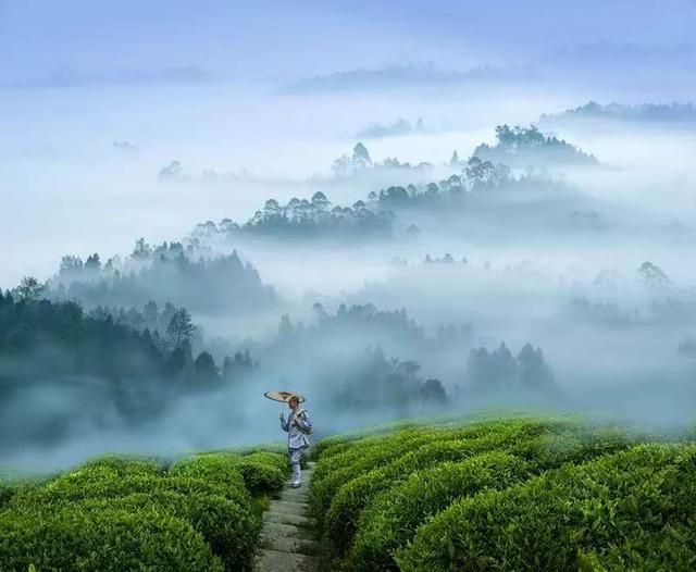 600万游客登峨眉，竟多错过“宝藏”！局长安利“小小峨眉山”最佳打开方式｜2025中华文化天府论坛