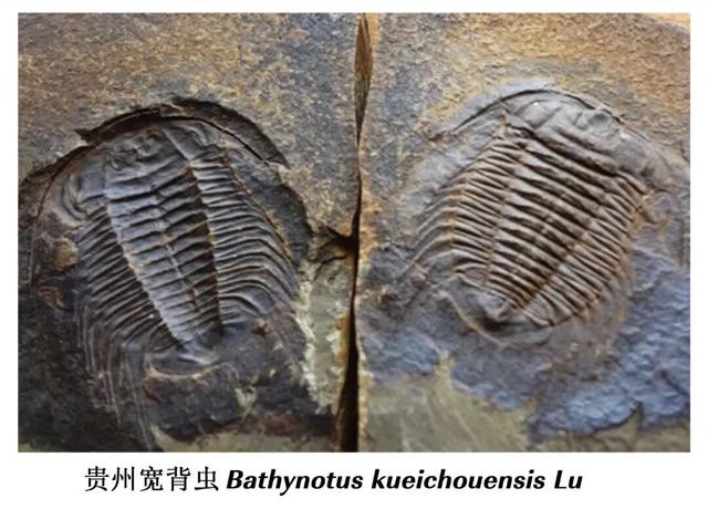 听村歌品美味赏美景，遇见仰阿莎美神！这份剑河“宝典”请您收藏→