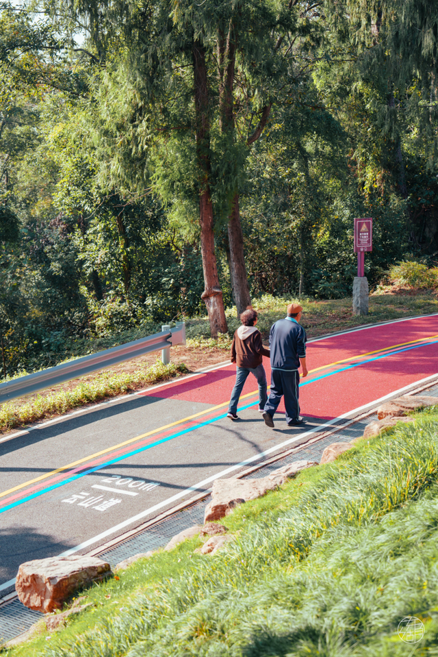 漫步彩虹、栈道追风，东湖徒步新线路美翻了！