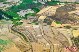 航拍广西春日乡村画卷 大地宛若“调色板”图片