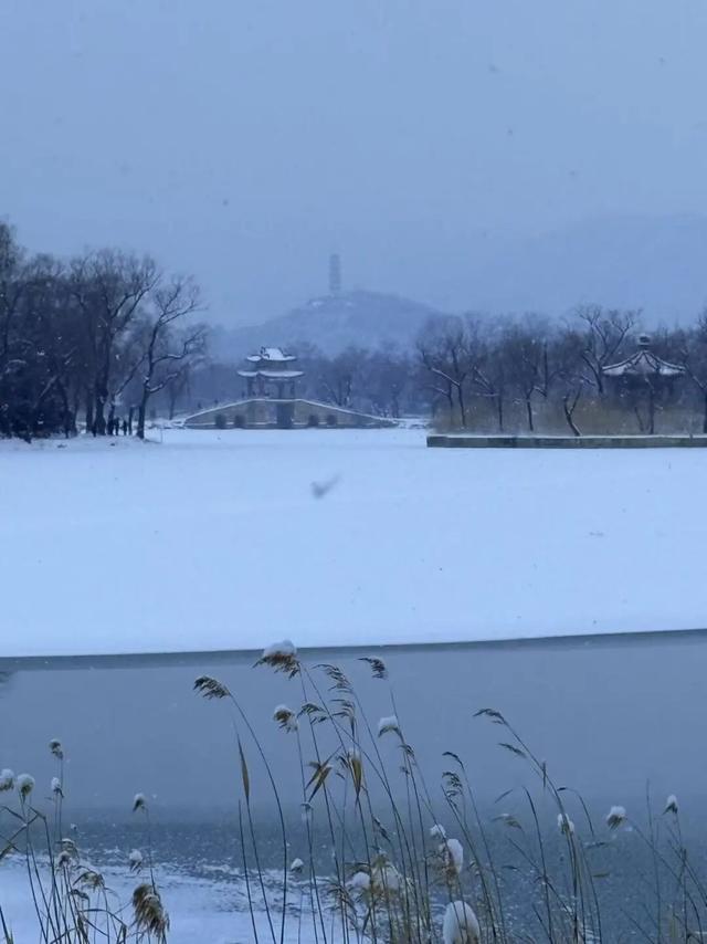 第一波雪后美图请查收！北京各大地标展风采