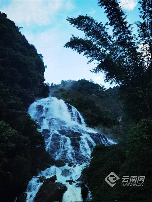 全国媒体达人探秘云南哀牢山 深度体验“与生态共生”旅居新方式