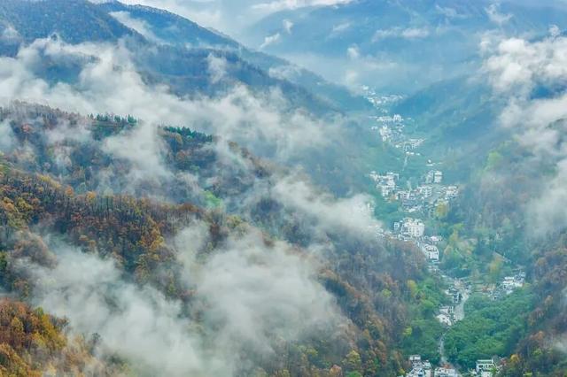 初冬高饱和度美景，还得看洛阳！