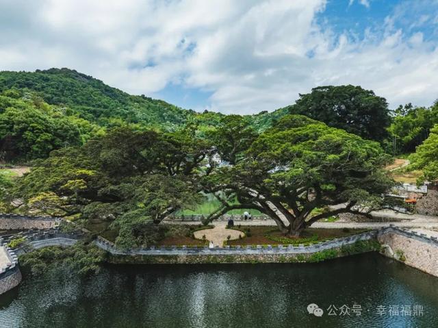福鼎，一座为浪漫而生的城市！这些打卡地，你去过几个？