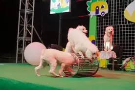 “远香湖之夜”潮流市集周来啦！解锁秋日松弛感图片