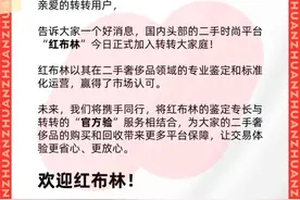 转转1亿美金收购红布林，创始人回应：暂无上市计划图片