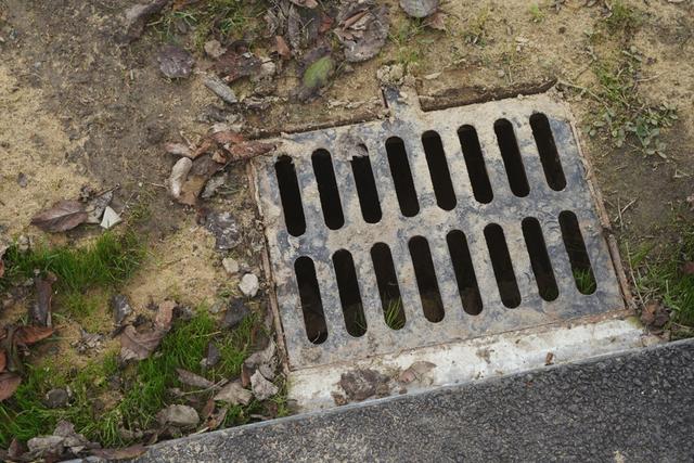 植物园不止失去一个秋天