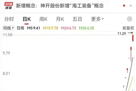 逆市上涨，7连板股紧急发布公告提示风险！最新险资重仓股名单出炉图片
