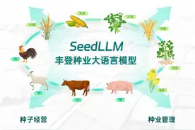 崖州湾国家实验室联合发布首个种业大语言模型：100道题得分是本科生4.87倍图片
