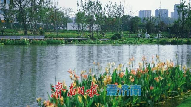 白泉湿地公园对外开放吸引众多市民关注